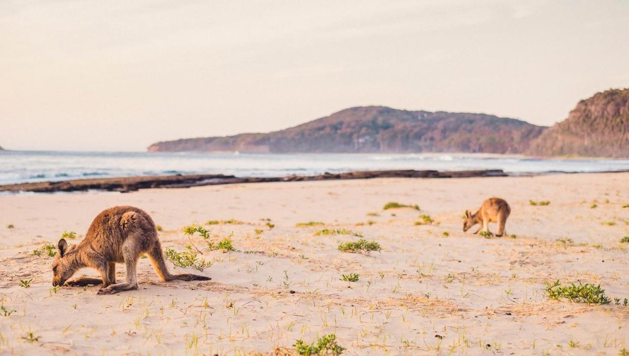 Pebbly Beach Escape East Lynne Экстерьер фото